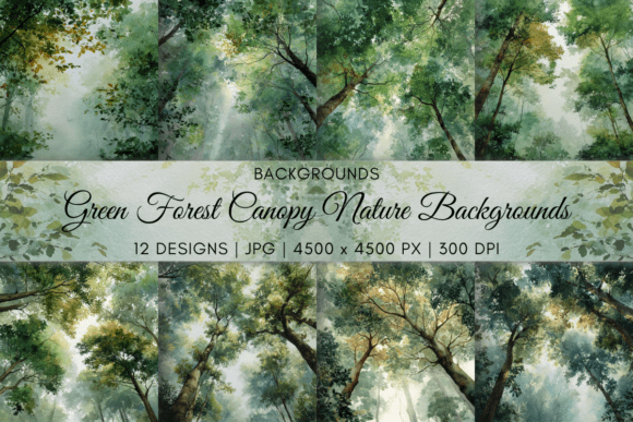 Green Forest Canopy Nature Backgrounds for Designers